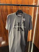 Calvin Klein Logo T-Shirt | Gri (ck01)